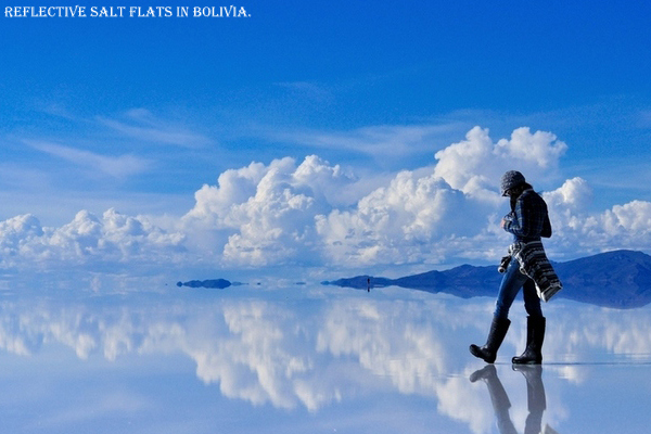12 Craziest Things in Nature